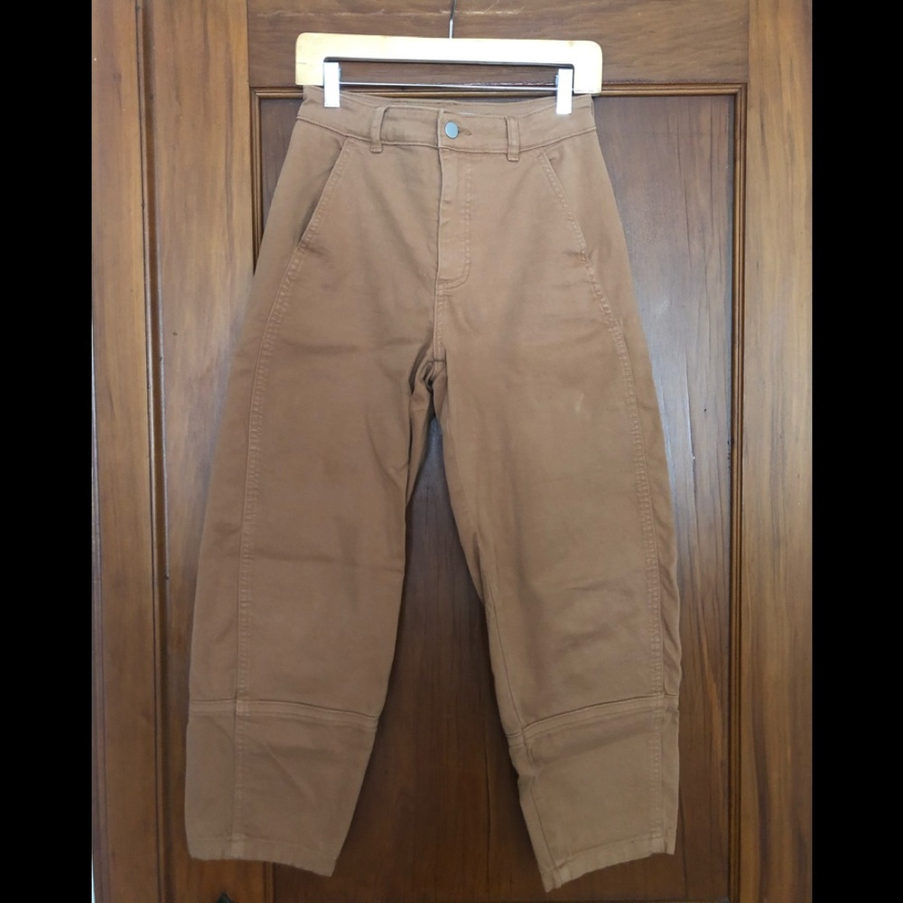 Everlane Barrel Utility Pant